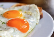 Ovo: uma proteína sagrada!