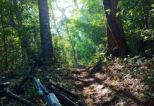 Trilha do Matão em Chapada dos Guimarães