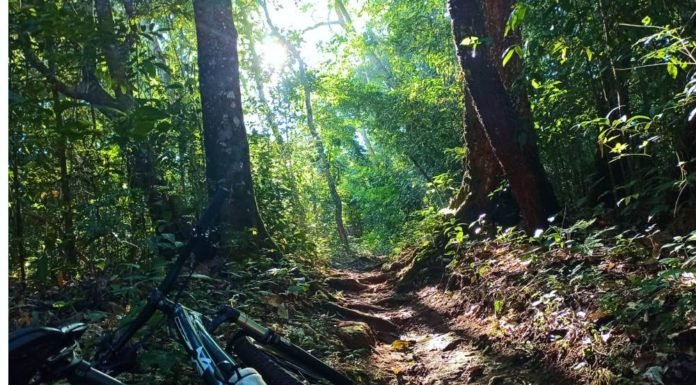 Trilha do Matão em Chapada dos Guimarães