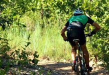 PEDAL: Como agir se alguém se acidentar?