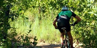 PEDAL: Como agir se alguém se acidentar?