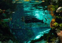 A riqueza natural de Nobres