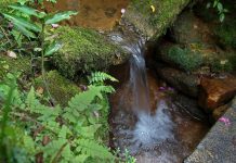 Reserva do Cabaçal: a Cidade das Águas