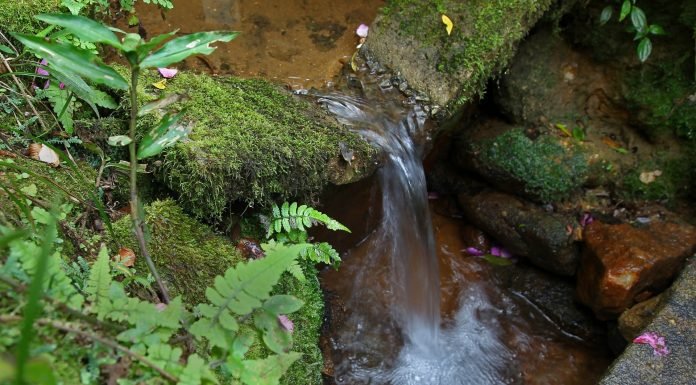 Reserva do Cabaçal: a Cidade das Águas