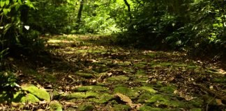 A história Tope de Fita e os novos aventureiros