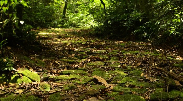 A história Tope de Fita e os novos aventureiros