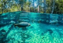 Nobres: turismo é reaberto com medidas de segurança