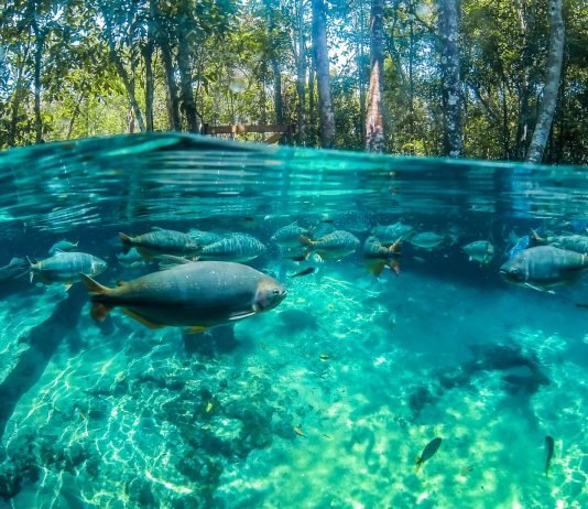 Nobres: turismo é reaberto com medidas de segurança