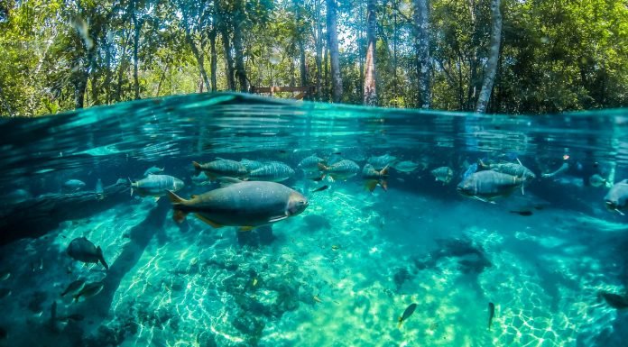 Nobres: turismo é reaberto com medidas de segurança