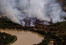 Militares e pantaneiros se unem no combate aos incêndios florestais