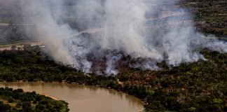 Militares e pantaneiros se unem no combate aos incêndios florestais