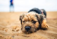 4 Conselhos para Combater a Fadiga Mental