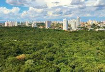 Parques estaduais suspendem atividade