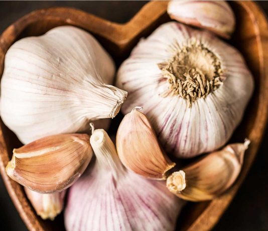 Benefícios do alho: mais que tempero, um aliado na saúde