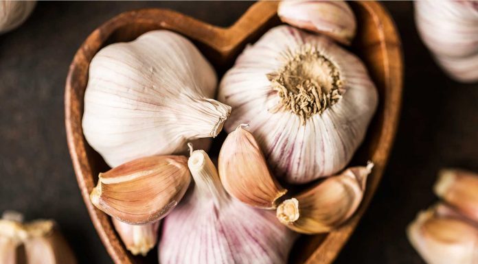 Benefícios do alho: mais que tempero, um aliado na saúde