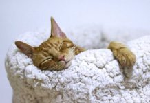 Dia de descanso: tão importante quanto o treino