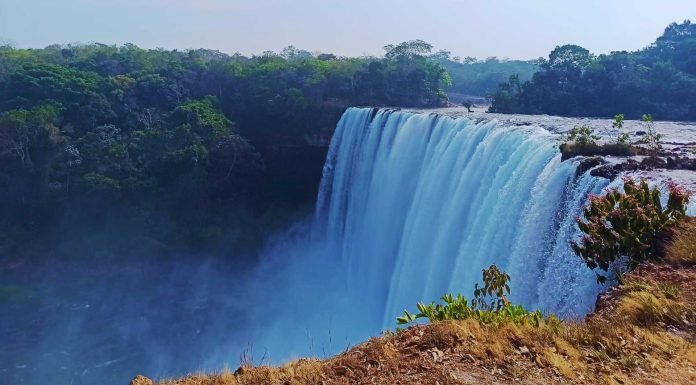 Caribe de Mato Grosso: Campo Novo do Parecis