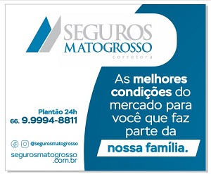 Seguros MT 300×250 2024