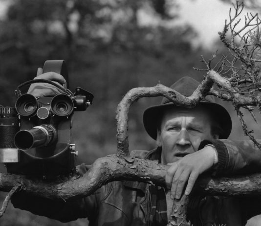 Arne Sucksdorff: O cineasta que revelou o Pantanal ao mundo e inspira os novos exploradores